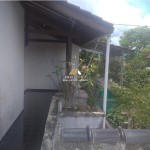 Untitled design (93)