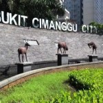 WhatsApp Image 2025-02-01 at 12.35.47 (1)