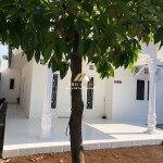 Canva 1200 x 1600 (54)