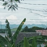 Canva 1600 x 900 (1)