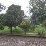 Canva 1600 x 900