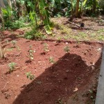 Gambar WhatsApp 2025-03-10 pukul 18.54.22_86262192