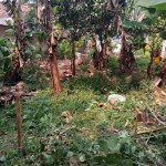 Gambar WhatsApp 2025-03-10 pukul 18.54.22_ca423b7e