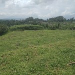 Gambar WhatsApp 2025-03-11 pukul 09.43.09_765ebc27