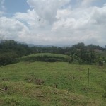 Gambar WhatsApp 2025-03-11 pukul 09.43.10_81a873f8