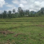 Gambar WhatsApp 2025-03-11 pukul 09.43.11_f120eefb