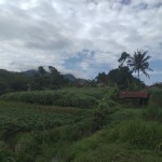 Gambar WhatsApp 2025-03-11 pukul 09.43.13_688c1c0c