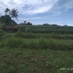 Gambar WhatsApp 2025-03-11 pukul 09.43.14_8f37772c