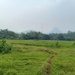 Gambar WhatsApp 2025-03-11 pukul 15.06.53_26c9c3b5