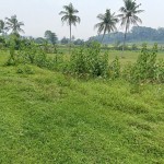 Gambar WhatsApp 2025-03-11 pukul 15.06.55_19267f8f