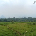 Gambar WhatsApp 2025-03-11 pukul 15.06.55_404f1a71