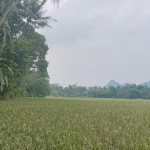 Gambar WhatsApp 2025-03-11 pukul 15.06.56_86d69ebd