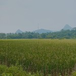 Gambar WhatsApp 2025-03-11 pukul 15.06.56_9ecd38f6