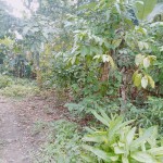 Gambar WhatsApp 2025-03-11 pukul 15.06.59_a6981899