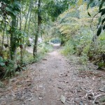 Gambar WhatsApp 2025-03-11 pukul 16.58.52_5be84a27