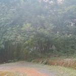 Gambar WhatsApp 2025-03-11 pukul 16.58.52_e6227759