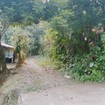 Gambar WhatsApp 2025-03-11 pukul 16.58.52_f9e66faa