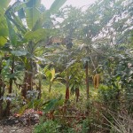 Gambar WhatsApp 2025-03-11 pukul 16.58.53_86445444