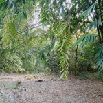 Gambar WhatsApp 2025-03-11 pukul 16.58.53_dc9f1b15