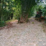 Gambar WhatsApp 2025-03-11 pukul 16.58.54_3c3e4297