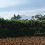 Gambar WhatsApp 2025-03-13 pukul 15.11.46_fe2f1162