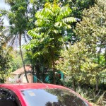 Gambar WhatsApp 2025-03-16 pukul 11.40.01_469e87a5