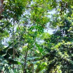 Gambar WhatsApp 2025-03-16 pukul 11.40.02_5c616774