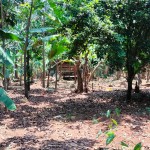 Gambar WhatsApp 2025-03-16 pukul 11.40.02_808be0f6