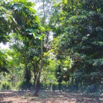 Gambar WhatsApp 2025-03-16 pukul 11.40.03_05ca65f8