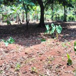 Gambar WhatsApp 2025-03-16 pukul 11.40.03_eee04036