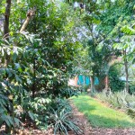 Gambar WhatsApp 2025-03-16 pukul 11.40.04_2e9a0420