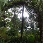 Gambar WhatsApp 2025-03-16 pukul 11.46.16_4261f52b