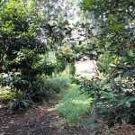 Gambar WhatsApp 2025-03-16 pukul 12.29.39_8012c110