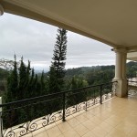 IMG_5272