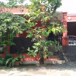 Untitled (1600 x 747 px) (6)