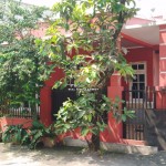 Untitled (1600 x 747 px) (8)