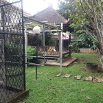 Untitled design (100)