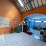 Untitled design - 2025-03-03T143618.166