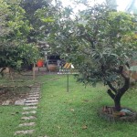 Untitled design - 2025-03-08T133818.998