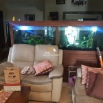 Untitled design - 2025-03-08T133839.751