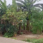 Untitled design - 2025-03-10T132524.171