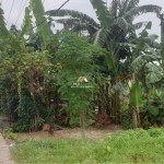 Untitled design - 2025-03-10T132559.120