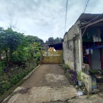 Untitled design - 2025-03-11T105114.199