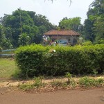 Untitled design (45)