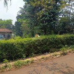 Untitled design (46)