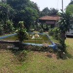 Untitled design (47)