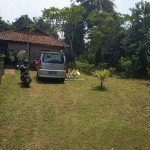 Untitled design (53)