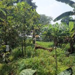 Untitled design (54)