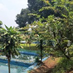 Untitled design (58)