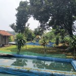 Untitled design (59)